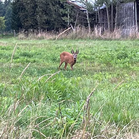 Cudne Manowce بيت للعطل