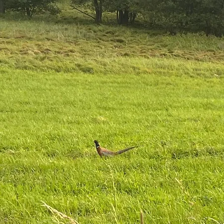 Cudne Manowce * Giebultow (Lwowek Slaski)