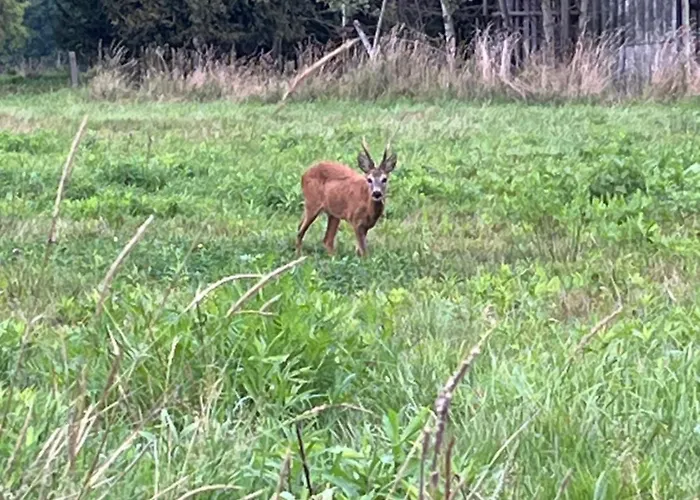 Cudne Manowce Ferienhaus