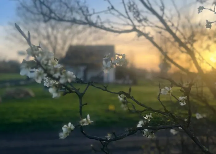 Cudne Manowce Ogrodzony Na Wylacznosc Wsrod Ciszy I Natury U Stop Gor Izerskich Дом отдыха