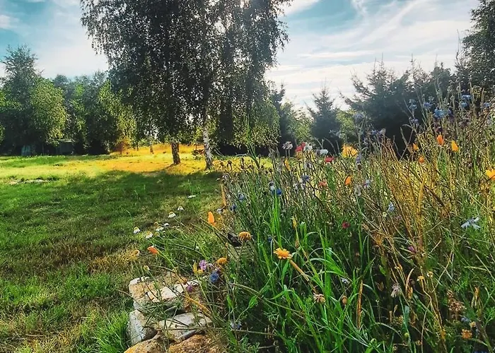 Cudne Manowce Ogrodzony Na Wylacznosc Wsrod Ciszy I Natury U Stop Gor Izerskich *