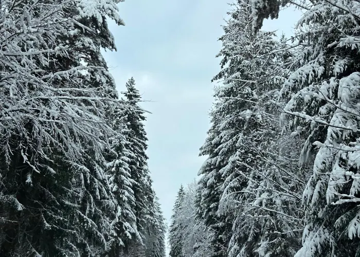 Cudne Manowce Casa vacanze